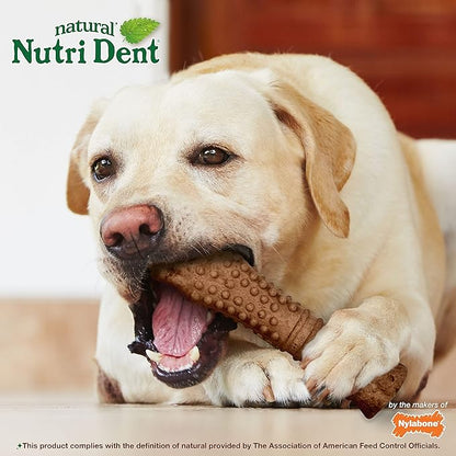 Nylabone Nutri Dent Dog Dental Chews - Natural Dog Teeth Cleaning & Breath Freshener - Dental Treats for Dogs - Filet Mignon Flavor, X-Large (1 Count)