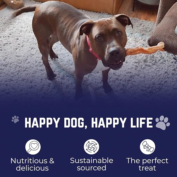 Devil Dog Pet Co. Jumbo Bully Sticks – 12 Inch 6 Pack Chew Treats, 100% All Natural, Free-Range Grass-Fed Beef – Long Lasting & Rawhide Free Bully Stick Dog Chews – Bully Sticks for Dogs