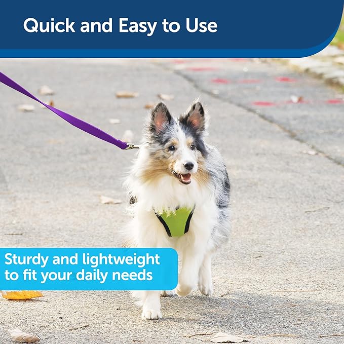 PetSafe Nylon Dog Leash – Strong, Durable, Traditional Style Leash with Easy to Use Bolt Snap – 3/4" x 6', Deep Purple