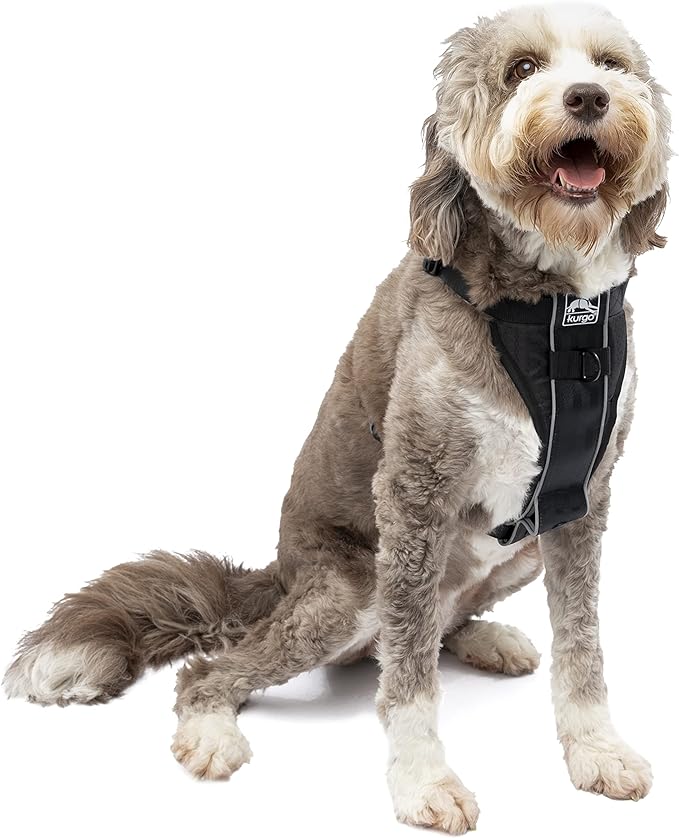 Kurgo Tru-Fit Smart Harness, Dog Harness, Pet Walking Harness, Quick Release Buckles, Front D-Ring for No Pull Training, includes Dog Seat Belt Tether (Black, X-Large)