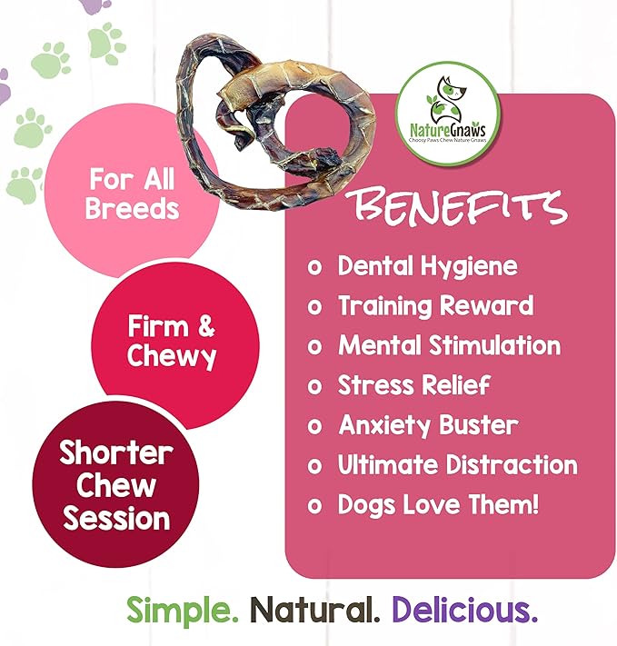 Nature Gnaws - Pork Bully Stick Pretzels for Dogs - Premium Natural Pork Dental Chews - Jerky Treats for Puppies and Small Breeds - Rawhide Free
