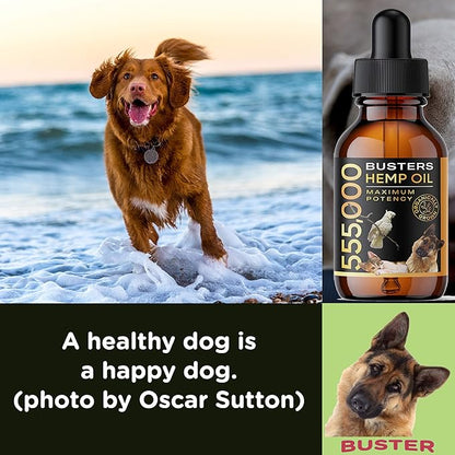 2-PACK Buster's Organic Hemp Oil for Dogs & Pets, 4-MONTH Supply, Large 60ml Bottles, 555,000 Max Potency, Joint Relief, Calming, Miracle Formula, Perfectly Balanced Omega 3, 6, 9, USA
