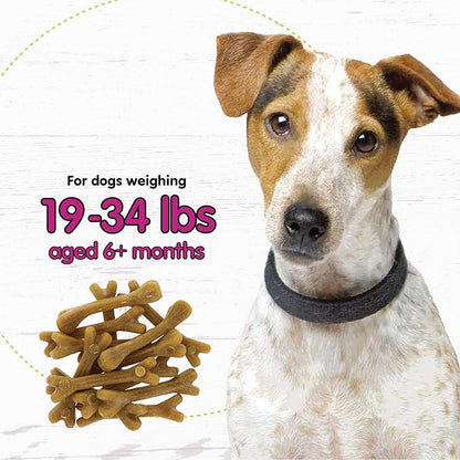 Belly Bones for Dogs, 13 Yogurt Flavor Small Dog Dental Treats (Made in USA) - 13 Count Dog Treats for Small Dogs - Plaque and Tartar Control for Fresh Breath, Digestive Health Support