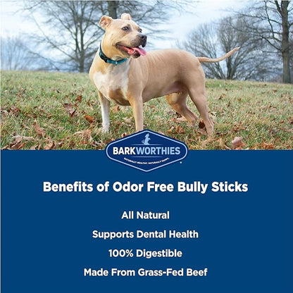 Barkworthies Odor-Free 6-inch Bully Sticks (5 Pack) - Healthy Dog Chews - Protein-Packed, Highly Digestible, All-Natural Rawhide Alternative Dog Treats - Promotes Dental Health