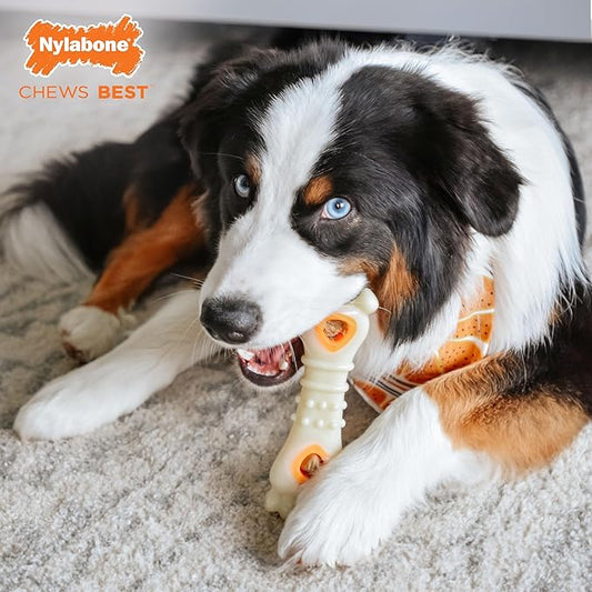 Nylabone Power Chew Knuckle Bone & Pop-In Dog Treat Toy Combo with Chicken Flavor Treat Refills, Chew Toy for Aggressive Chewers, Durable Treat Pouch, Large/Giant - Up to 50 lbs. (1 Count)