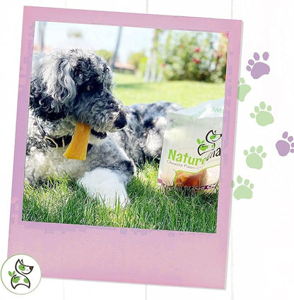 Nature Gnaws Paddywack Tendons for Dogs - Premium Natural Beef Dental Bones - Long Lasting Dog Chew Treats for Medium & Large Dogs - Rawhide Free 5-7 inch