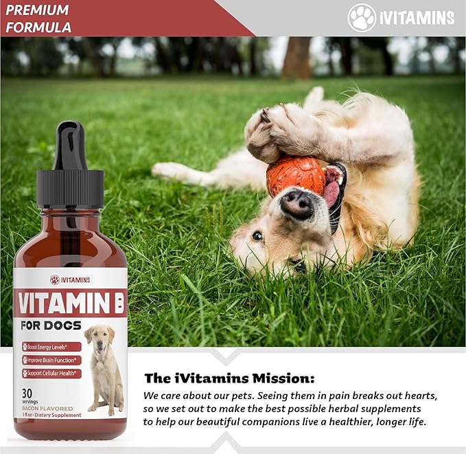 Vitamin B for Dogs | Vitamin B Complex for Dogs | Vitamin B12 for Dogs | Dog Vitamins | B12 Vitamins for Dogs | Vitamin B Dog Supplements | B Complex for Dogs | B12 for Dogs | Do1 fl oz: Bacon Flavor