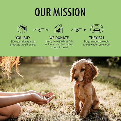 DOG for DOG Probiotics for Dogs - Digestive Enzymes for Dogs Support Gut Health | Probiotic & Prebiotic Chews Treat Diarrhea, Itchy Skin & Improves Gut Health | Made in The USA | 90 Bacon Flavor Chews