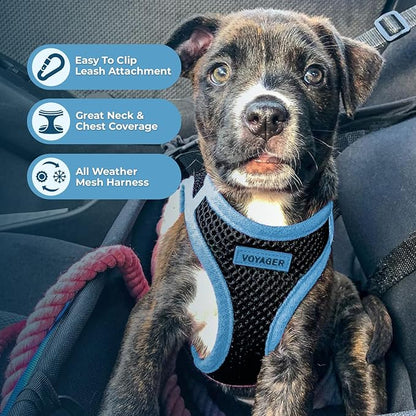 Voyager Step-In Air Dog Harness - All Weather Mesh Step in Vest Harness for Small and Medium Dogs by Best Pet Supplies - Blue, Medium