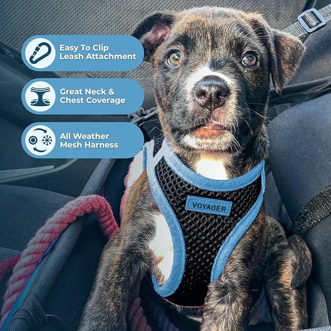 Voyager Step-In Air Dog Harness - All Weather Mesh Step in Vest Harness for Small and Medium Dogs by Best Pet Supplies - Blue Trim, Small