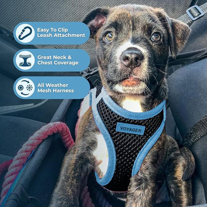 Voyager Step-In Air Dog Harness - All Weather Mesh Step in Vest Harness for Small and Medium Dogs by Best Pet Supplies - Blue Trim, Small