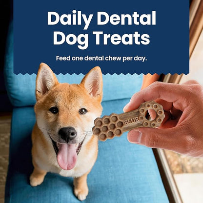 Blue Buffalo Dental Chews Small Natural Dog Treats, Chicken & Spearmint 22.6-oz Bag (56 Count)