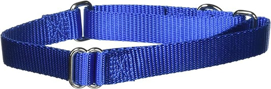 PetSafe Martingale Collar, 3/4" Medium, Royal Blue