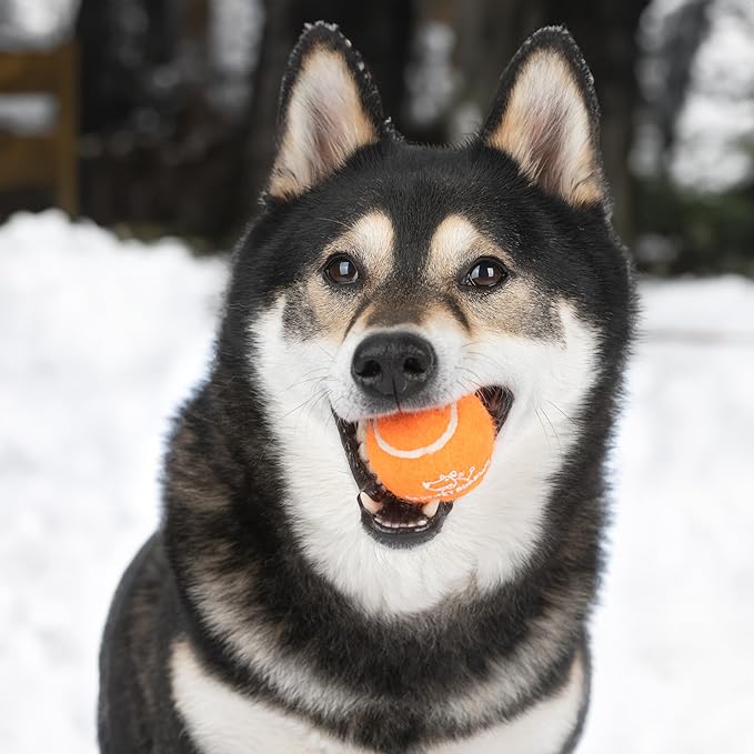 Best Pet Supplies Squeaky Tennis Toys for Dogs, 2-Pack, Heavy-Duty Interactive Pet Toys for Throwing and Fetching, Supports Exercise and Natural Behavior Training, Durable - Large