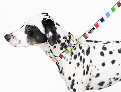 Kate Spade New York Heavy Duty Leash for Female or Male Dogs, Cute Pet Leash with Gold Metal Hardware, Long Dog Lead for Small Medium Large Breeds (Large, Adventure Stripe)