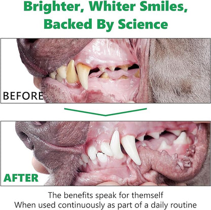 Dog Teeth Powder for Dog Teeth Cleaning, Dog Breath Freshener, Dog Plaque and Tartar Remover with Green Tea and Probiotics, Cat & Dog Dental Care Toothpaste Powder - 80g