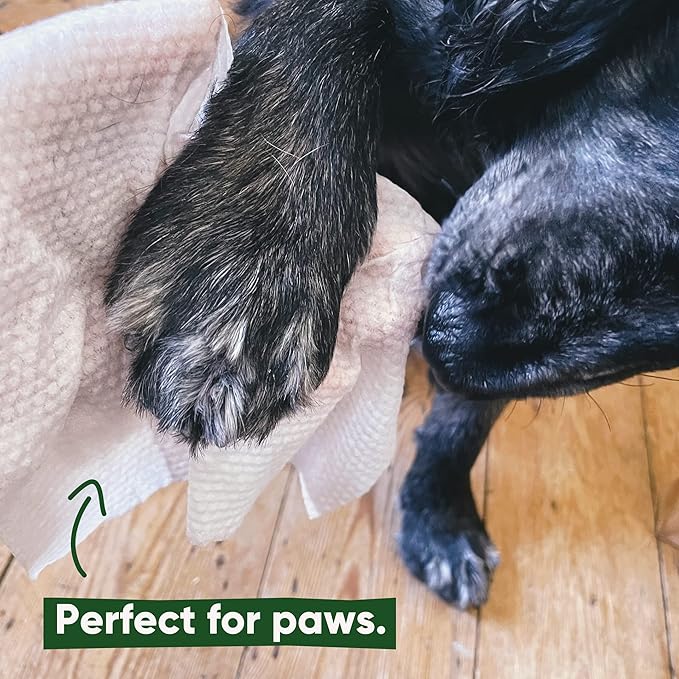 Beco Bamboo Dog Wipes, Thick Grooming Wipes For Easy Pet Cleanup, Home Compostable, 80 Count (Coconut)