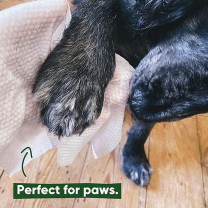 Beco Bamboo Dog Wipes, Thick Grooming Wipes For Easy Pet Cleanup, Home Compostable, 80 Count (Coconut)