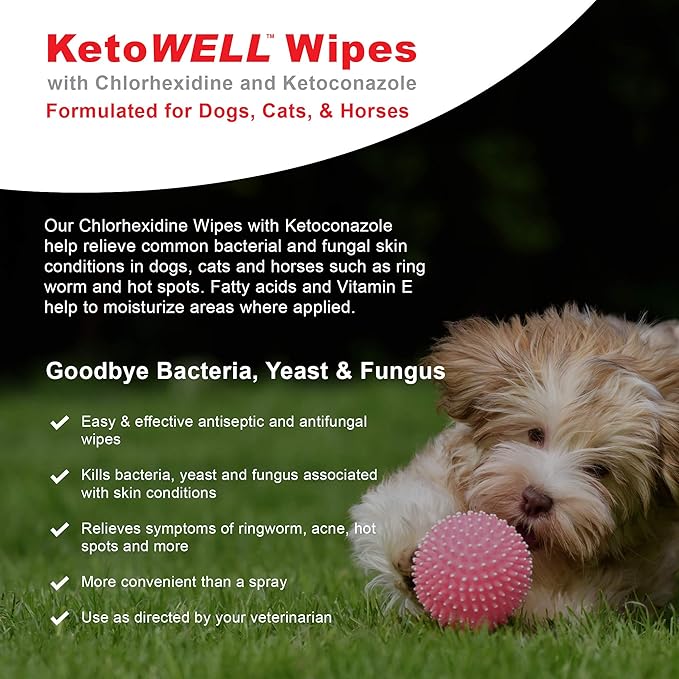 KetoWELL Topical Wipes with Ketoconazole for Dogs & Cats Medicated Pet Wipes - 50 Count
