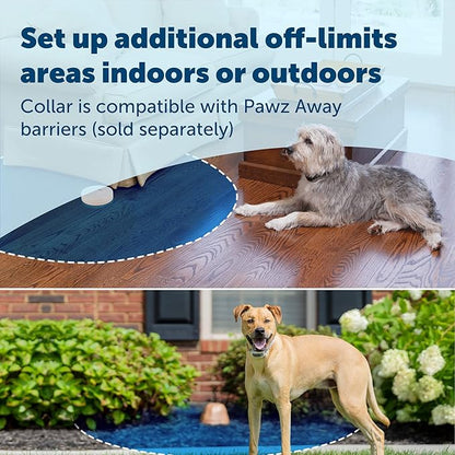 PetSafe Classic In-Ground Fence for Dogs and Cats - from The Parent Company of INVISIBLE FENCE Brand - includes 2 Collars and 500 ft of Wire - Expandable Coverage up to 5 Acres