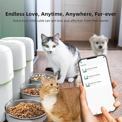 Automatic Cat Feeder WiFi - Easy to Clean 2L/4L WiFi Automatic Cat Feeder for Remote Feeding, Cat Food Dispenser with Lock Feature and Suitable Portion Size, Only 2.4GHz