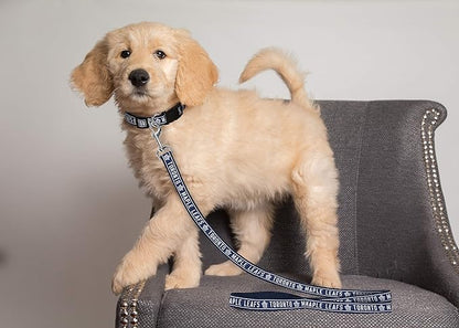 Pets First NHL Toronto Maple Leafs Leash for Dogs & Cats, Large. - Walk Cute & Stylish! The Ultimate Hockey Fan Leash!, 6 ft Long x 1 in Width, TOR-3031-LG