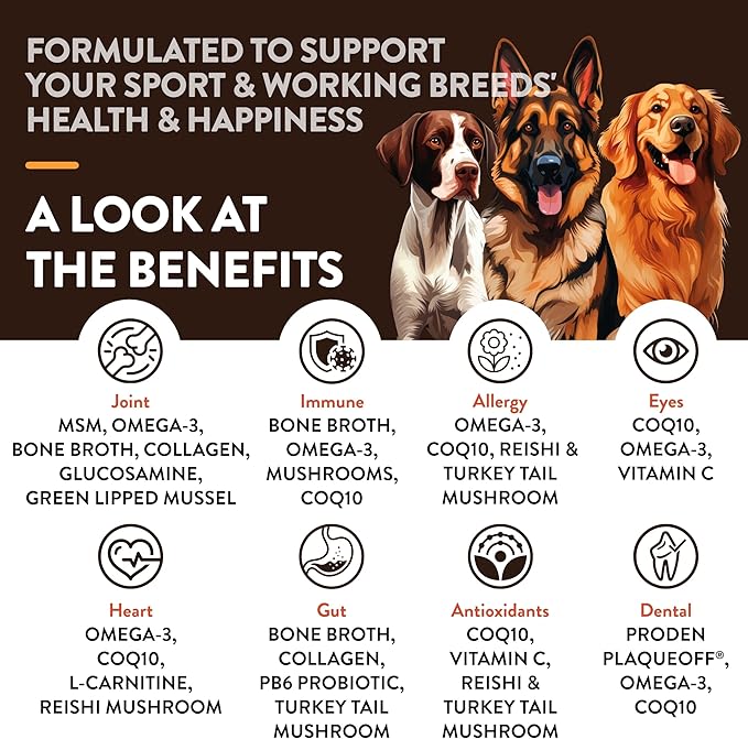 NaturVet Sport Breed Supplement- for Joint Support, Digestion, Skin, Coat Care- Dog Multivitamins with Minerals, Omegas, PlaqueOff- Wheat-Free Vitamins for Dogs- Sport and Working Breed- 50 Soft Chews