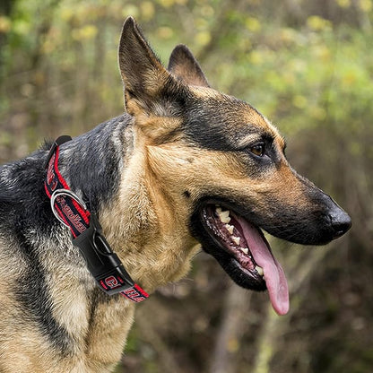 MLB Cleveland Guardians Licensed PET Collar, Large - Heavy-Duty, Strong, and Durable Dog Collar. Available in 30 Baseball Teams and 4 Sizes