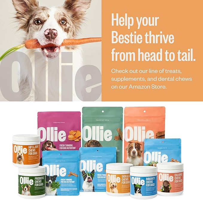 Ollie Dog Skin & Coat Supplement - Soothes Irritated Skin - Promotes Healthy & Shiny Fur & Coat - 60 Count Appx.