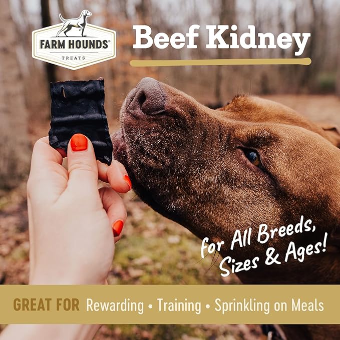 Farm Hounds Beef Kidney Jerky Treats for Dogs, Premium Dried Dog Treats, High Protein Training Treat for Small & Large Dogs, Natural & Healthy Dog Treats, Made in USA, Beef Kidney 4oz