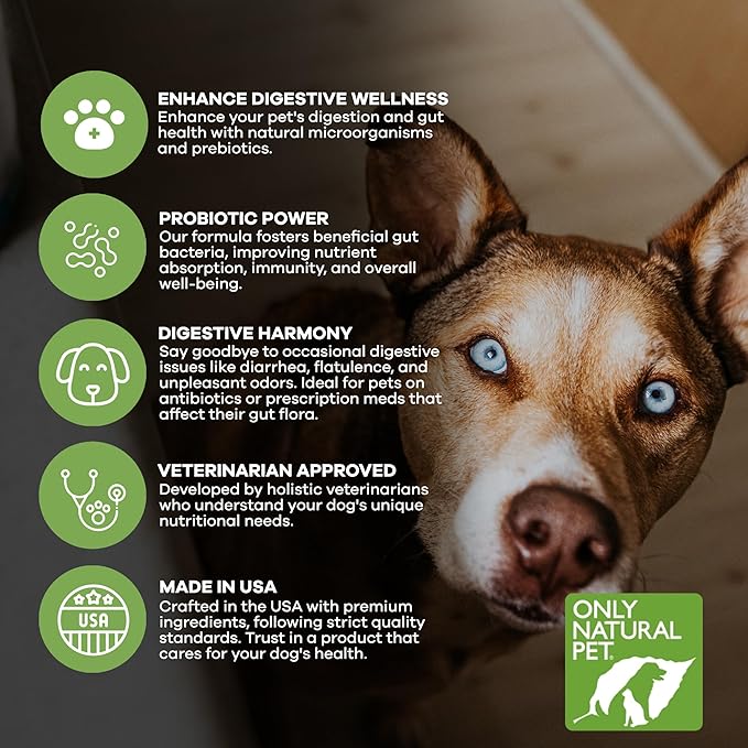 Only Natural Pet Probiotic Dog and Cat Supplement - Digestive & Intestinal Tract Health Enzyme Formula, Puppy & Canine Digestive Support, Best for Stomach Relief & Gas Aid - 90 Capsules.