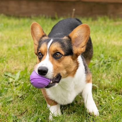 Furhaven 3-Pack 2.5" Squeaky Ball Dog Toys for Small/Medium Dogs, Fits Most Standard Launchers - Fetch 'N Fun TPR Squeaky Ball Toy Set - Space Pack, Set of 3