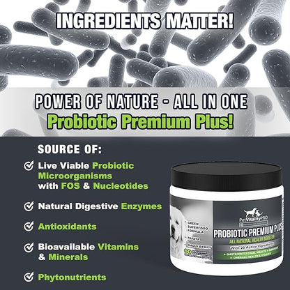 Probiotics for Dogs with Natural Digestive Enzymes ● 4 Bill CFUs/2 Soft Chews ● Dog Diarrhea Upset Stomach Yeast Gas Bad Breath Immunity Allergies Skin Itching Hot Spots ● 60 Count