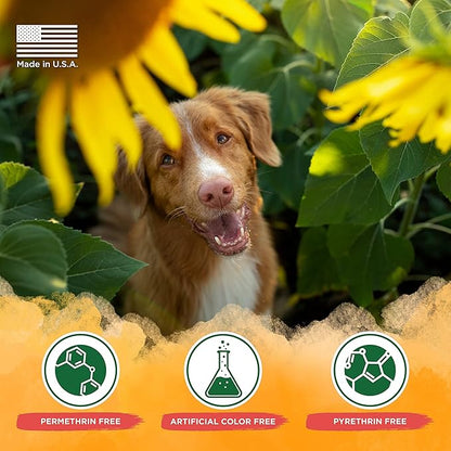 TropiClean Maximum Strength Natural Flea and Tick Dog Shampoo for Flea and Tick Prevention for Dogs | Made in the USA | 20 oz