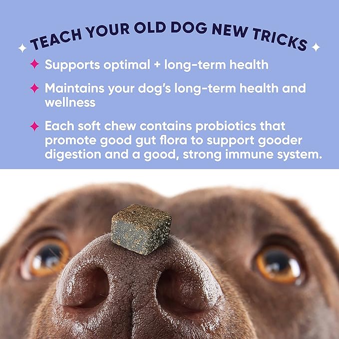 GoodGood Healthy Aging Dog Supplements; Supports Optimal Long-Term Health; Adult or Older Dog; Soft Chews with Astragalus, Turmeric, and Resveratrol; Probiotics; 90 Natural Flavor Chews