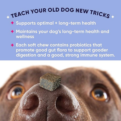 GoodGood Healthy Aging Dog Supplements; Supports Optimal Long-Term Health; Adult or Older Dog; Soft Chews with Astragalus, Turmeric, and Resveratrol; Probiotics; 90 Natural Flavor Chews
