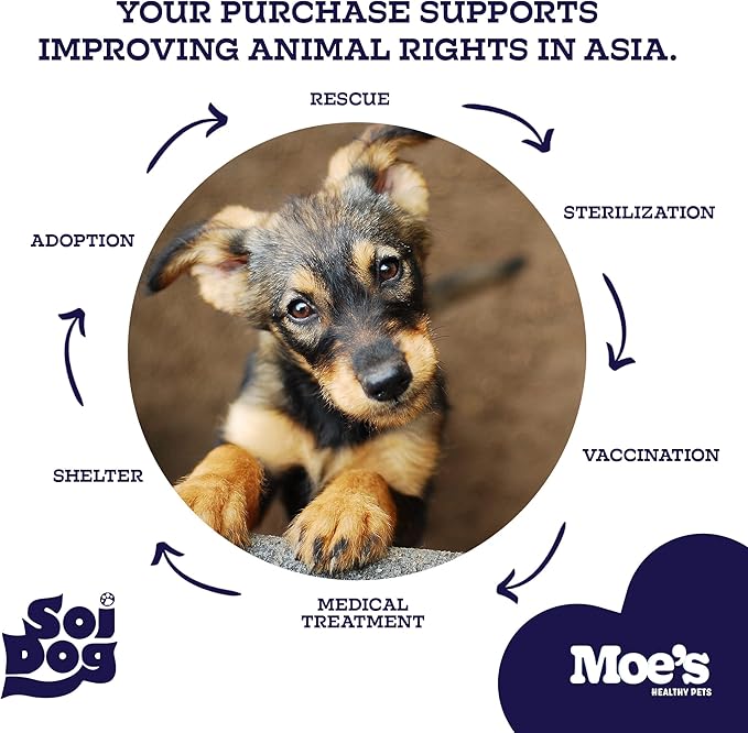 Moe’s Skin & Coat Omega 3, 6, 9 and Vitamin Supplement for Dogs- Supports Dryness, Itch Relief, & Thick, Shiny Coats- Premium Wild Alaskan Salmon Oil- For All Ages and Breeds- 90 Salmon Flavored Chews