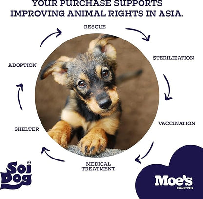 Moe’s Skin & Coat Omega 3, 6, 9 and Vitamin Supplement for Dogs- Supports Dryness, Itch Relief, & Thick, Shiny Coats- Premium Wild Alaskan Salmon Oil- For All Ages and Breeds- 90 Salmon Flavored Chews
