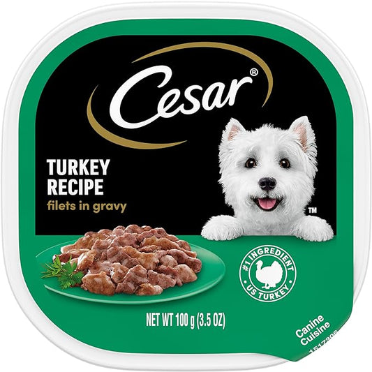 CESAR Filets in Gravy Adult Wet Dog Food, Turkey Recipe, (24) 3.5 oz. Easy Peel Trays