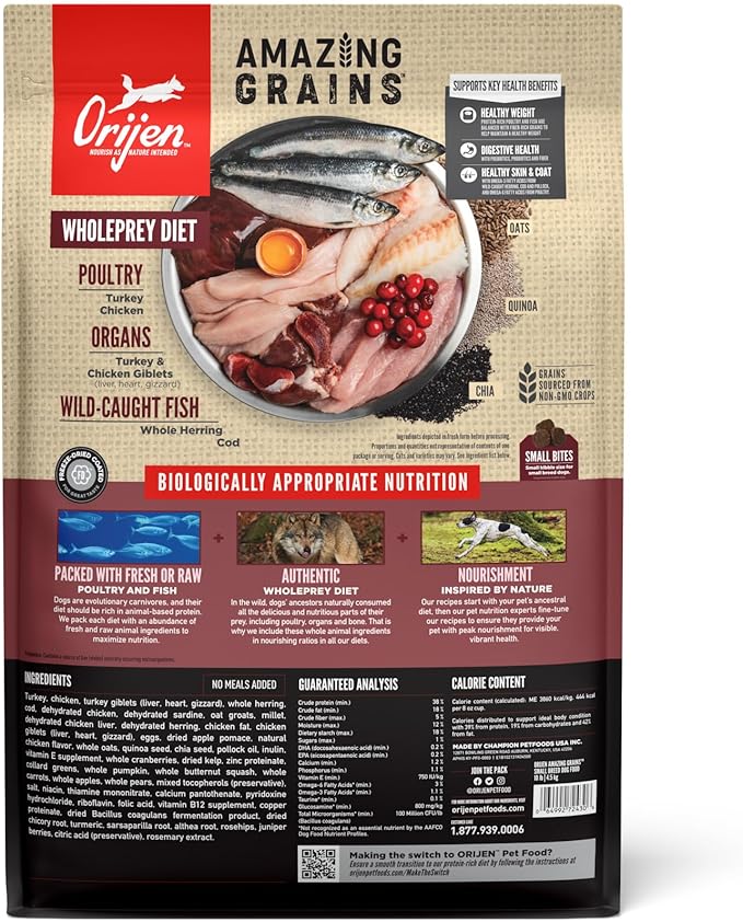 ORIJEN AMAZING GRAINS™ Small Breed Dry Dog Food Recipe, 10lb