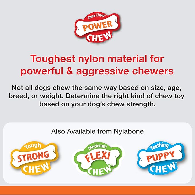 Nylabone Dura Chew Giant Marrow Bone Alternative Beef Flavor Dog Chew Toy (1 Count)