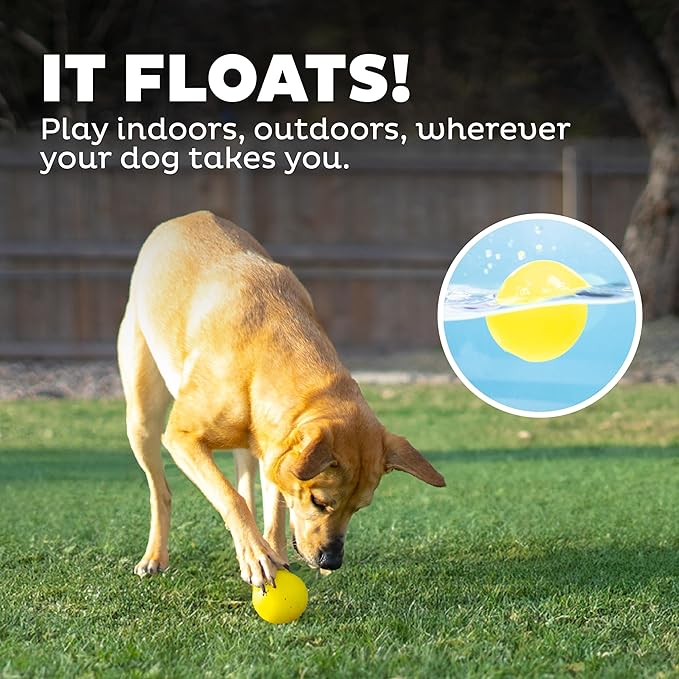 Outward Hound Orbee-Tuff Squeak Ball Yellow Dog Fetch Toy