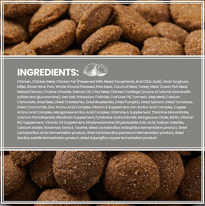 Muenster Ancient Grains Dog Food (4lb) - Chicken & Pork Flavored Dry Dog Food for Large Dogs - Gluten Free, Non-GMO High Protein Dog Food - Healthy Digestive Large Breed Dog Kibble