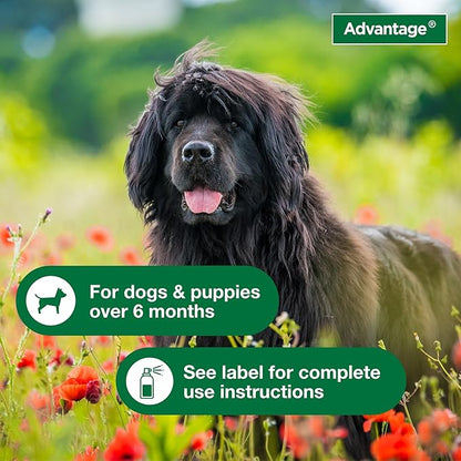Advantage Dog Flea Treatment Spray | Kills Fleas & Ticks | Dog Flea Spray | 15 oz.