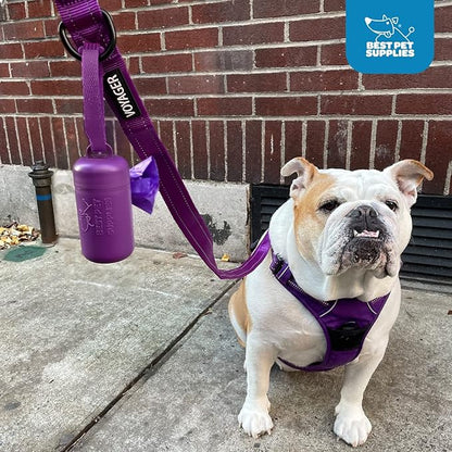Best Pet Supplies Dog Poop Bag Holder Leash Attachment with 30 Bags, Reusable Dispenser for Travel, Walking, Park, and Outdoor Use, Durable with Clip-On - Fuchsia, Pack of 2