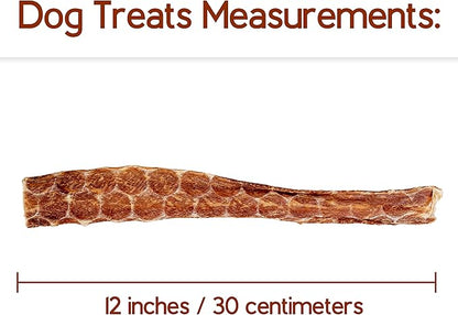 Beef Esophagus Dog Treats (Grass Fed with No Added Hormone & Antibiotic All Natural Jerky Dog Treats - Dog Chews Rich in Glucosamine & Chondroitin for Joint Health (12 Inch Chews- 12 Count)
