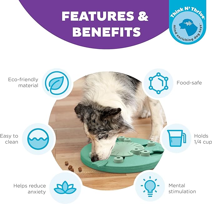 Outward Hound Nina Ottosson Dog Worker Dog Puzzle Interactive Treat Puzzle Dog Enrichment Dog Toy, Level 3 Advanced, Green