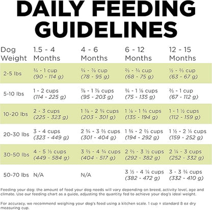 GO! SOLUTIONS Carnivore Grain Free Dog Food for Puppies, 3.5 lb – Chicken, Turkey + Duck Recipe – Protein Rich Puppy Food – Complete + Balanced Nutrition for Puppies