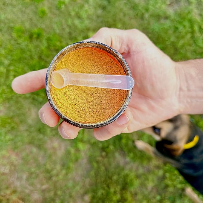 GUT STUFF by Helluva Dog — Digestive Aid Meal Topper for Active Sporting Dogs — Pumpkin & Slippery Elm for Dog's Upset Stomach & Better Gut Health, Packed with Fiber - 3oz