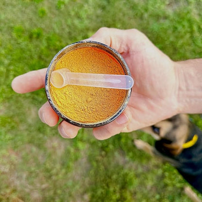 GUT STUFF by Helluva Dog — Digestive Aid Meal Topper for Active Sporting Dogs — Pumpkin & Slippery Elm for Dog's Upset Stomach & Better Gut Health, Packed with Fiber - 3oz